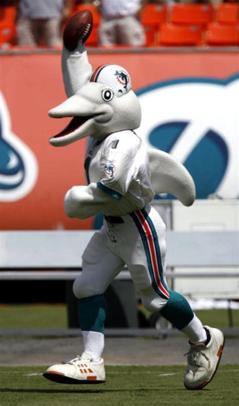 Td dolphins mascot